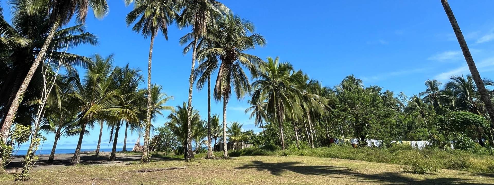 Naturaleza de Bahía Solano