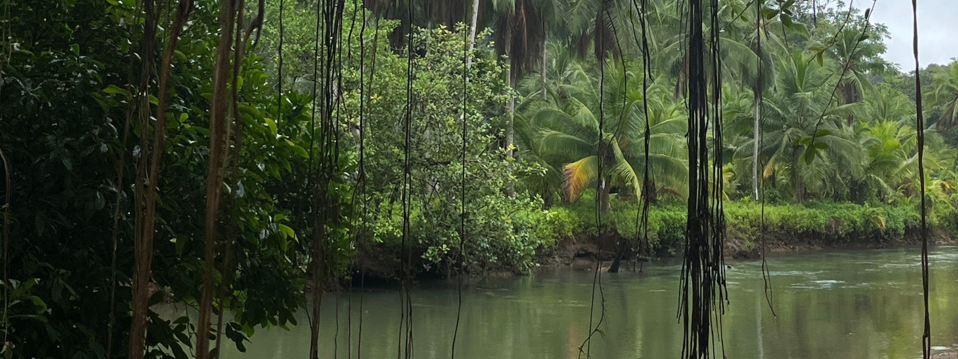 Naturaleza de Bahía Solano