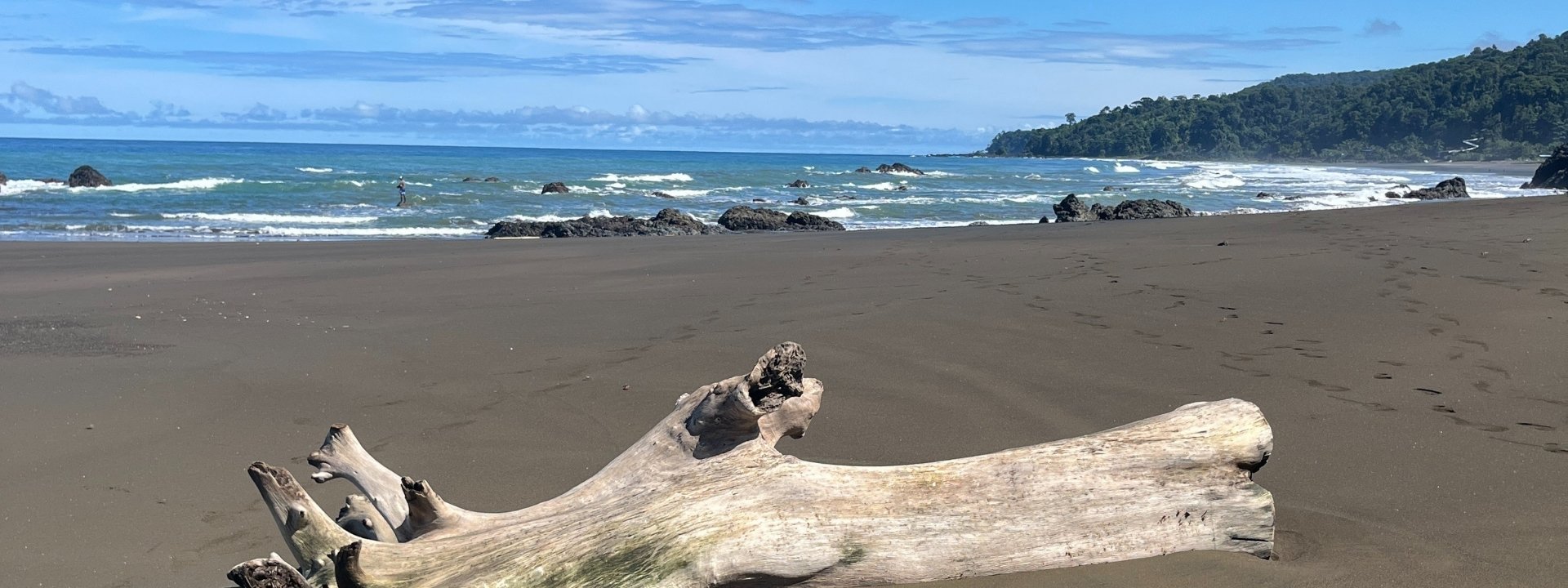 Naturaleza de Bahía Solano