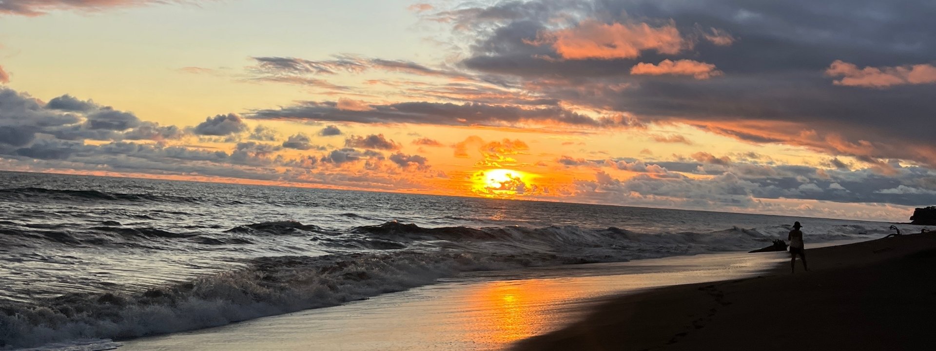 Naturaleza de Bahía Solano