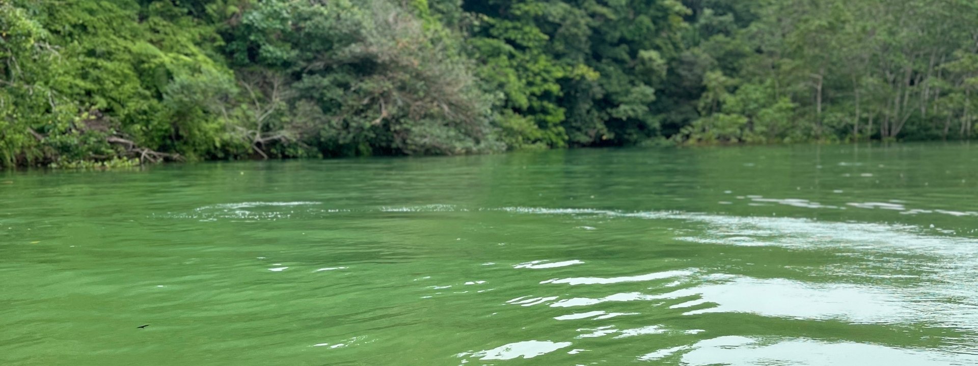 Naturaleza de Bahía Solano
